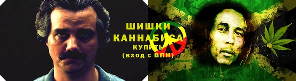 тгк Дмитровск