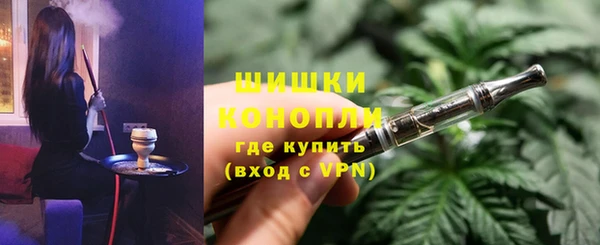тгк Дмитровск