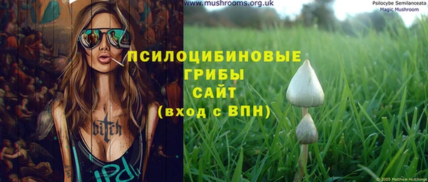 амф Гусиноозёрск