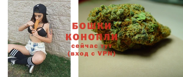 тгк Дмитровск